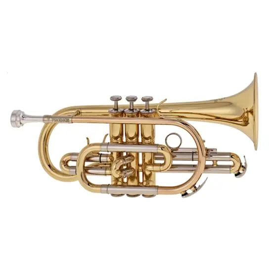 Livraison Express Besson PRODIGE BE120-1 Cornet sib d‘étude verni en étui