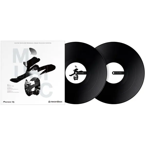 Commande En Gros Pioneer DJ AlphaThetaRB-VD2-K Vinyles rekordbox noir