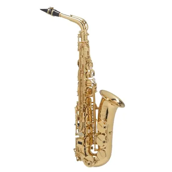 Selmer AXOS - saxophone alto avec étui et bec Selmer S80-C* complet Offre Limitée