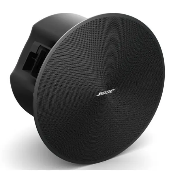 Bose ProfessionalDesignMax DM6C (Noir) - La Paire Vente Flash