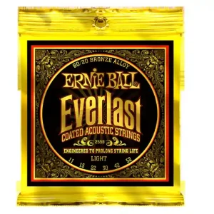 Ernie Ball EP02558 Cordes guitare folk Everlast 11-52 Light Certifié