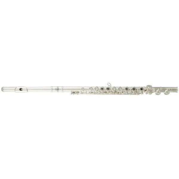 Roy Benson FL-402R - Flûte traversière student series Vente Flash