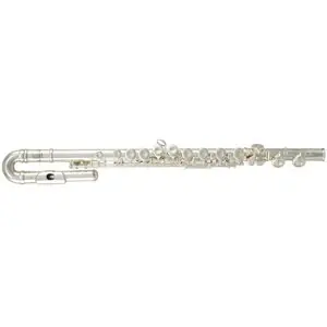 Roy Benson FL-402E2 - Flûte traversière student series Nouveauté