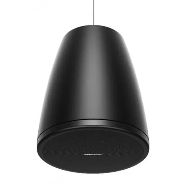 Offre Du Jour Bose ProfessionalDesignMax DM3P (Noir) - La Paire