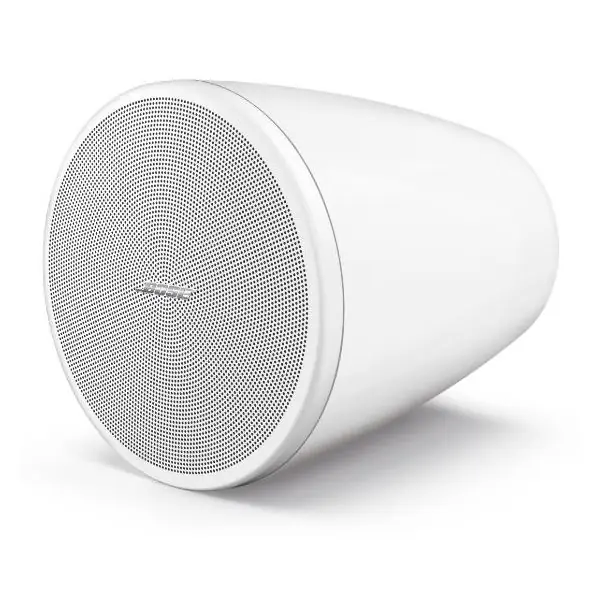 Bose ProfessionalDesignMax DM3P (Blanc) - La Paire Offre Spéciale