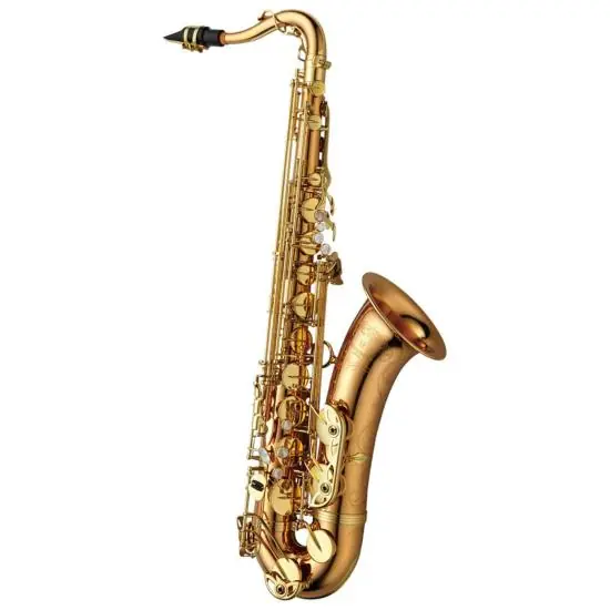 Yanagisawa T-WO20 ELITE - Saxophone ténor bronze verni, avec étui et bec complet Petit Prix