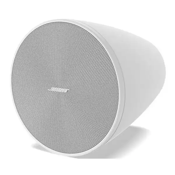 Bose ProfessionalDesignMax DM5P (Blanc) - La Paire Commander Maintenant