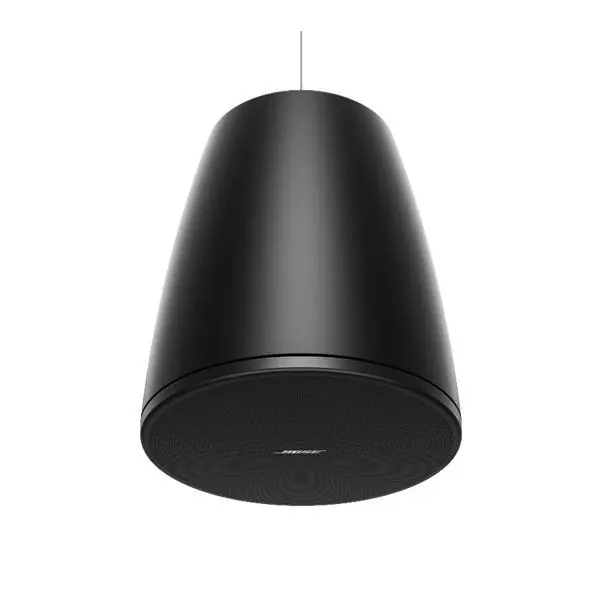 Bose ProfessionalDesignMax DM6PE (Noir) - La Paire Populaire