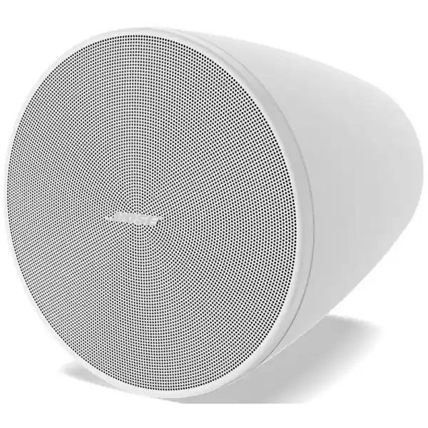Bose ProfessionalDesignMax DM6PE (Blanc) - La Paire Populaire