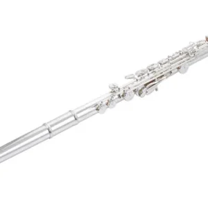 Prix Cassé DISCONTINUE Pearl Flûte 795R-3K Elegante Vigore - Flûte avec tête et tube argent, plaque en or 3k