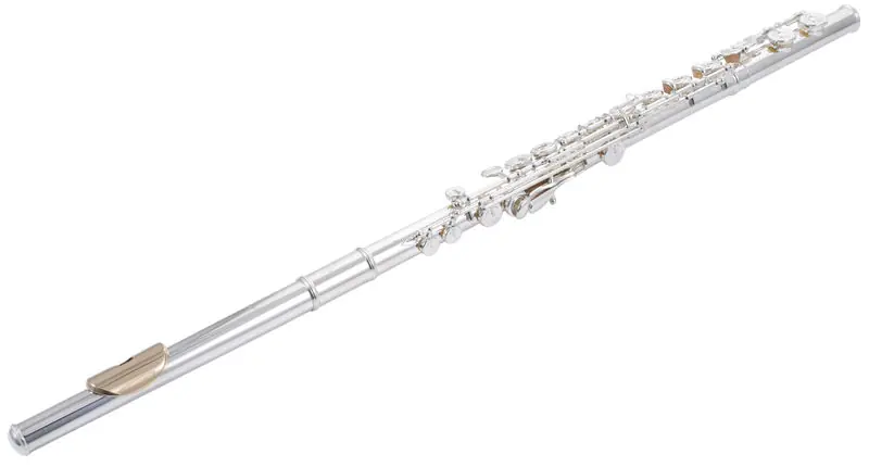 Prix Cassé DISCONTINUE Pearl Flûte 795R-3K Elegante Vigore - Flûte avec tête et tube argent, plaque en or 3k
