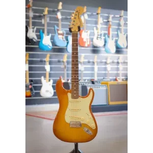 AMERICAN PERFORMER STRAT AVEC HOUSSE Must-Have
