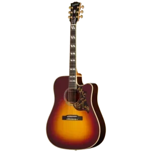 Top Vente HUMMINGBIRD DELUXE EC AUTUMN BURST
