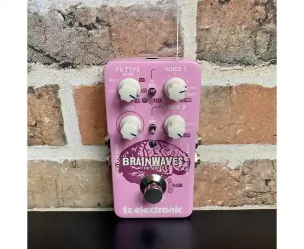 Seulement Aujourd'hui BRAIN WAVES