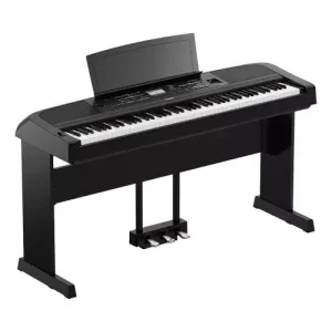 DGX-670B Authentique