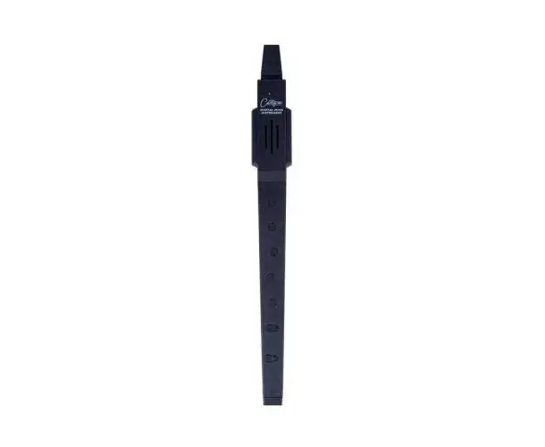 CARRY ON - DIGITAL WIND INSTRUMENT BLACK Super Prix