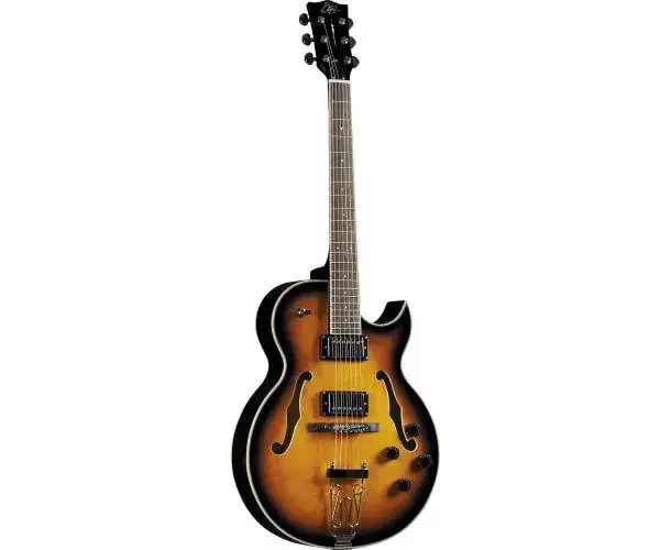 HOLLOWBODY - TYPE HOLLOWBODY JAZZ SINGLE CUT - SUNBURST Prix Choc