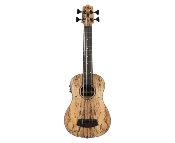 Réduction SPALTED MANGO U-BASS, LIVRE AVEC HOUSSE