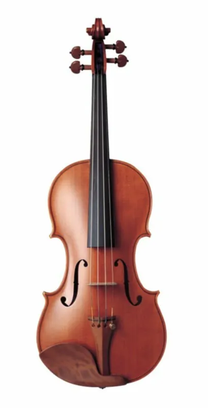 YAMAHA violon yamaha YVN100G Bon Plan