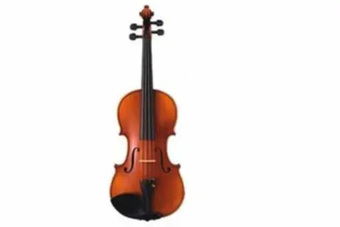 Offre Exclusive YAMAHA violon yamaha V10G