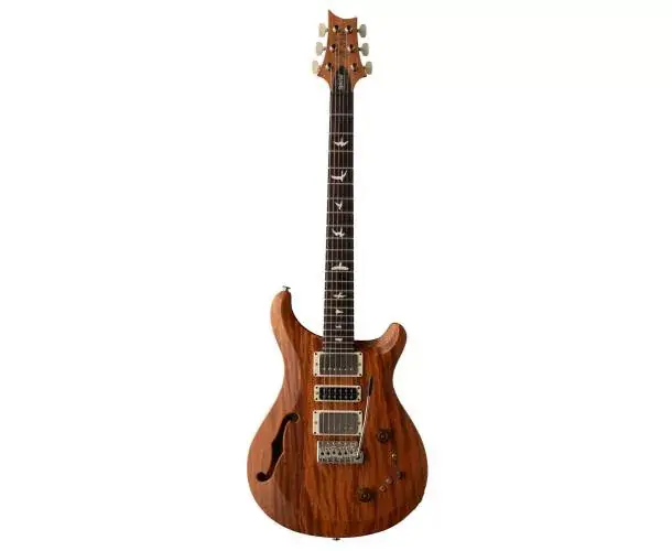 Populaire S2 SPECIAL SEMI HOLLOW RECLAIMED NATURAL LIMITED