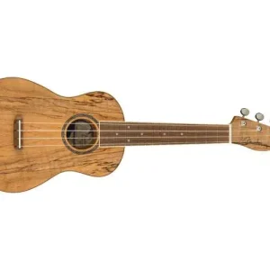 Certifié ZUMA EXOTIC CONCERT WALNUT FINGERBOARD SPALTED MAPLE