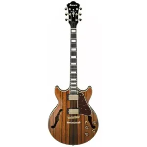 Bon Plan AM93MENT HOLLOW BODY GUITAR
