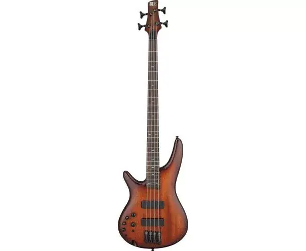 Acheter En Ligne SR500ALMHL MAHOGANY BROWN BURST LOW GLOSS