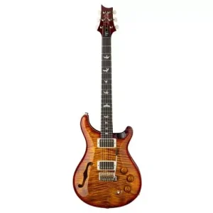 DGT SEMI-HOLLOW DARK CHERRY SUNBURST BIRDS Bon Plan