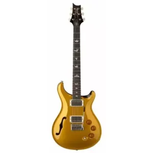 DGT SEMI-HOLLOW GOLD TOP BIRDS Prix Choc