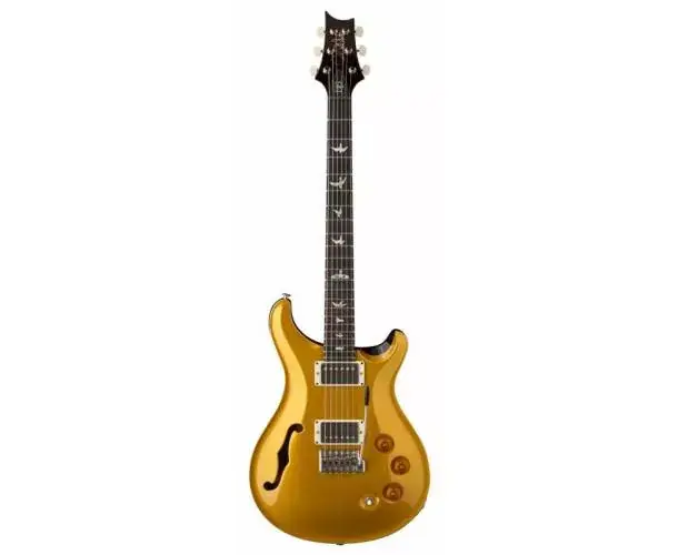 DGT SEMI-HOLLOW GOLD TOP BIRDS Prix Choc
