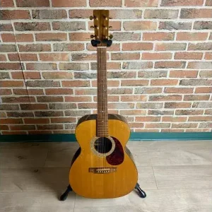 Seulement Aujourd'hui 000-16 TR 1996 + ETUI + FISHMAN ECLIPSE BLEND