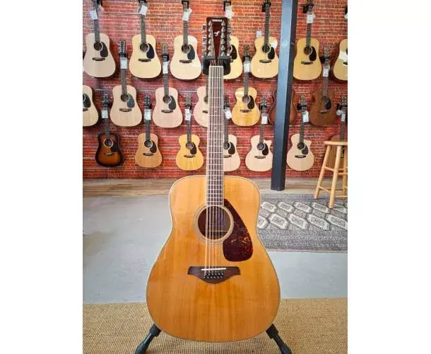 FG720S 12 CORDES + HOUSSE Pas Cher