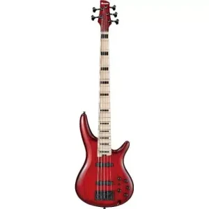 Authentique ANB205TWB TRANSPARENT WINE RED BURST