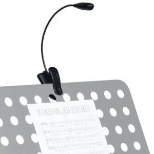 RTX Lampe sur flexible à clipser (2 led) Prix Choc