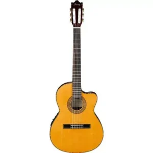 GA5TCEAM AMBER HIGH GLOSS Seulement Aujourd'hui