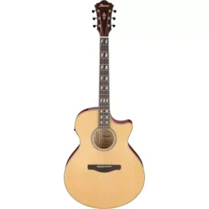 AE170NTR NATURAL HIGH GLOSS TOP TRANSPARENT RED HIGH GLOSS BACK AND SIDES Expédition Rapide