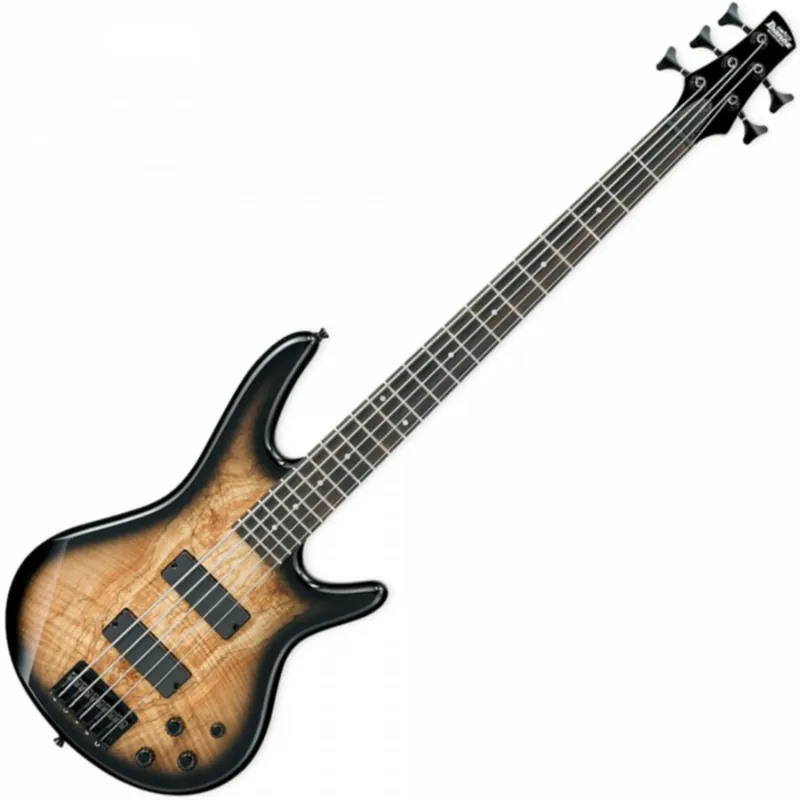 Ibanez GSR205SM-NGT Produit De Marque