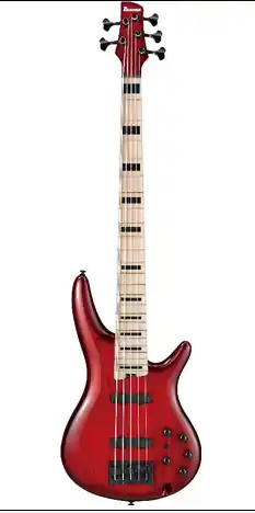 Ibanez ANB205TWB Nouvel Arrivage