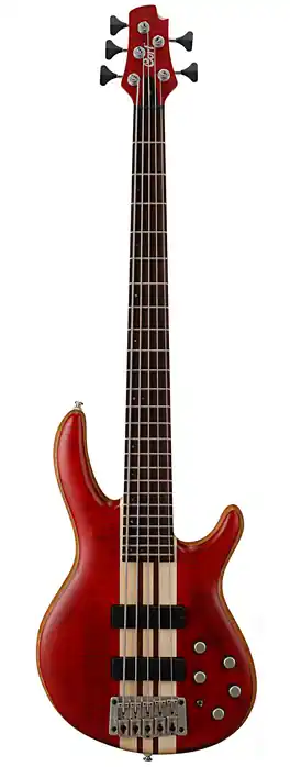 Nouvelle Collection Cort A5 PLUS ERABLE-ACAJOU ROUGE