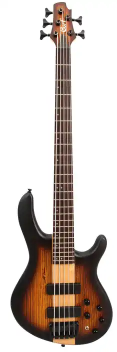 Meilleure Vente Cort C5H PLUS ZEBRA, ERABLE BURST