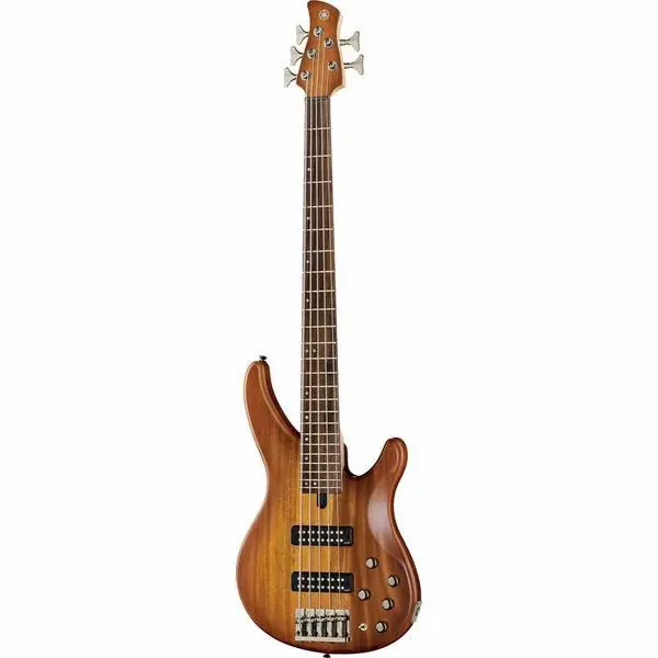 YAMAHA Basse TRBX505BRB BRICK BURST Super Prix