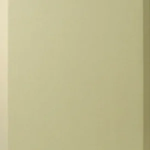 Primacoustic BBV2-24X48-B Vente Flash
