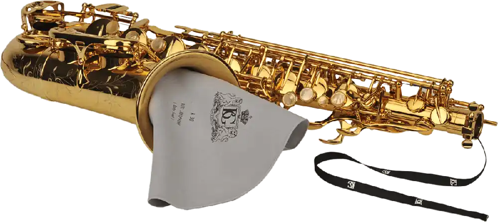 BG A30 Microfibre sax alto Top Vente