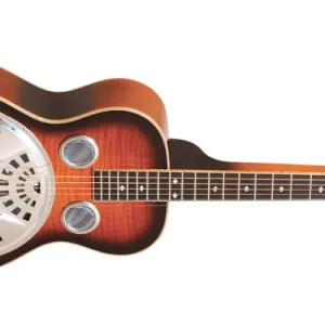 Acheter Direct Gold Tone Mastertone PBS-M Paul Beard Solid Mahogany Square Neck Resonator Guitar
