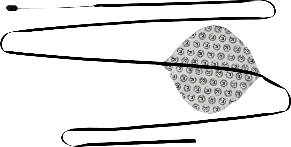 Prix Choc BG A30SB Microfibre saxo baryton