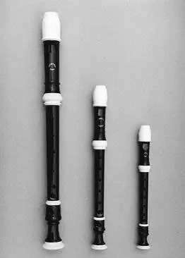 Jusqu'à Épuisement Des Stocks Dolmetsch NV20 Soprano Plastic Recorder