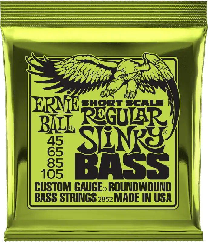 Bon Plan Ernie Ball 2852BASSES Slinky Nickel Wound Regular slinky short scale 45/105