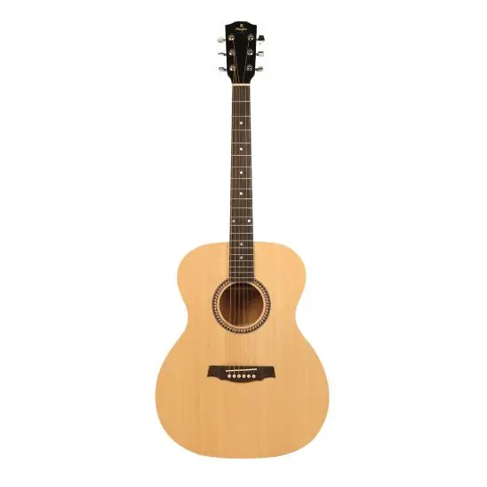 Guitare folk Prodipe SA25 Meilleure Vente