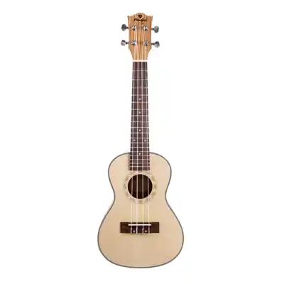 Usine Directe Ukulele Concert Prodipe BC25 epicé zebra